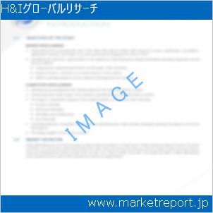 市場と産業調査レポートのイメージ